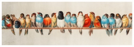 Vintage Art Birds Colorful