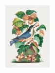 Vintage Art Bird Hazelnut