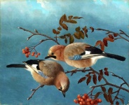 Vintage Art Bird Illustration