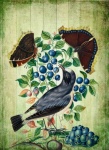 Vintage Art Bird Butterfly