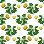 Vintage Lemons Pattern Background