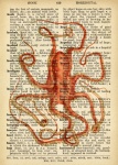 Vintage Octopus Dictionary Page