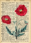 Vintage Poppies Dictionary Page