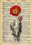 Vintage Poppy Dictionary Page