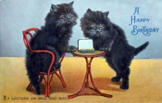 Vintage Card Cats Kittens