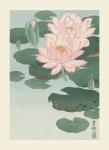 Water Lilies Japanese Vintage Art