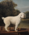 White Dog Vintage Art