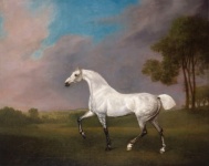 White Horse Vintage Art