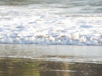 White Water Wet Sand Wallpaper