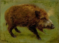 Wild Boar Vintage Art