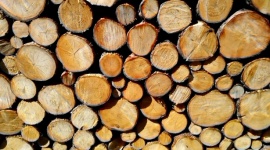 Wooden Logs 202