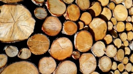 Wooden Logs 203