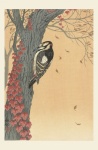 Woodpecker Japanese Vintage Art