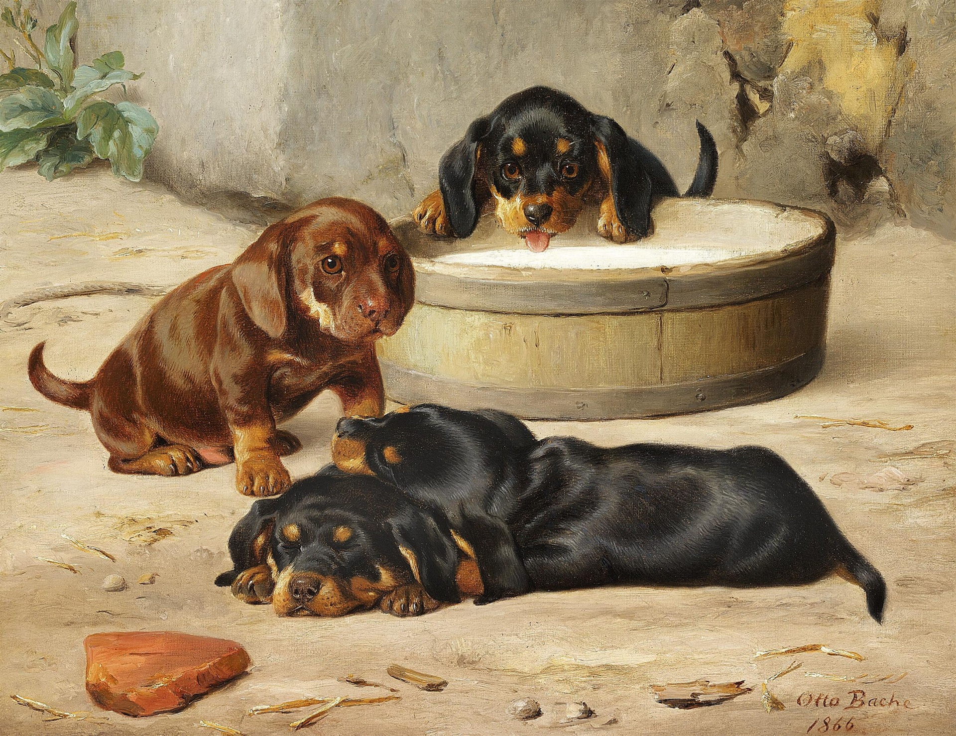 Vintage antique art painting of cute dachshund puppy dogs poster, print, card by artist Otto Bache