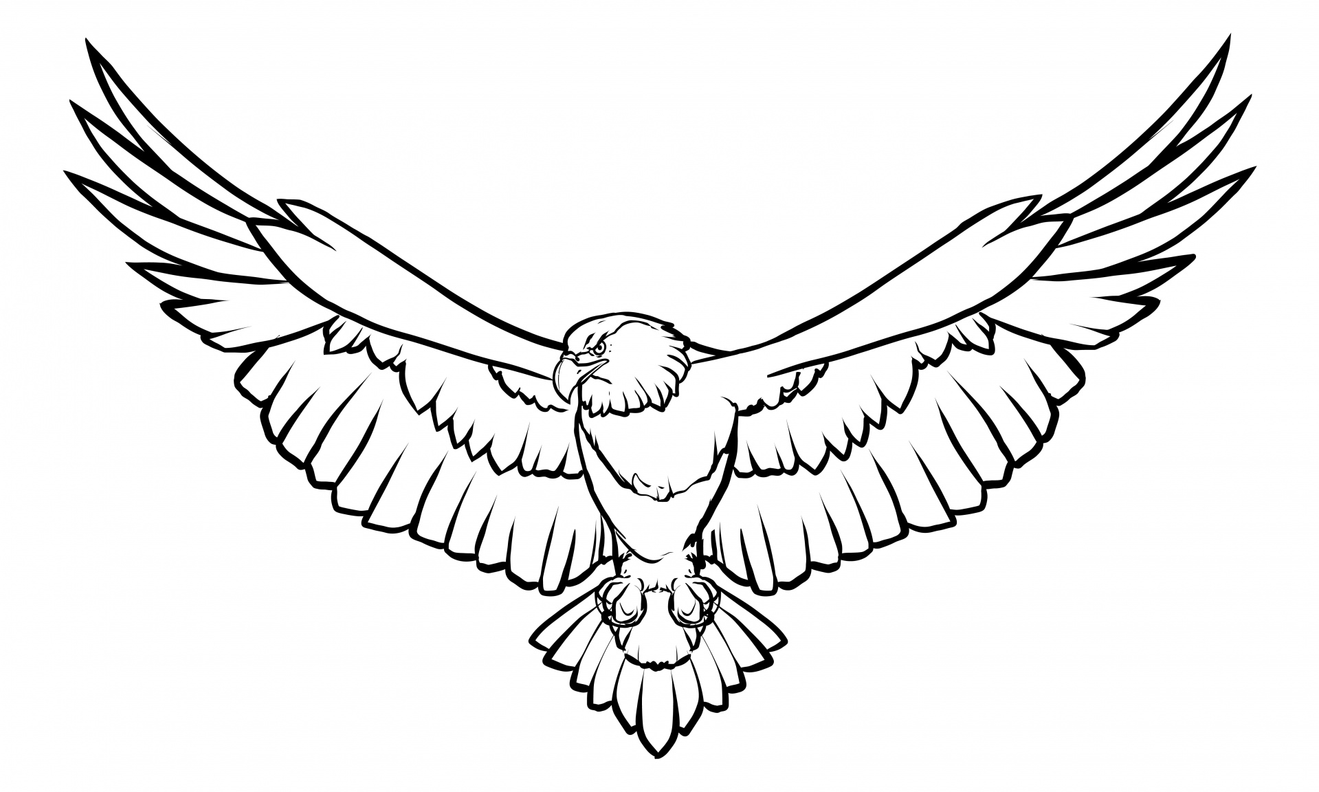 Line art illustration of an eagle with wings spread bird in black and white coloring page on white background