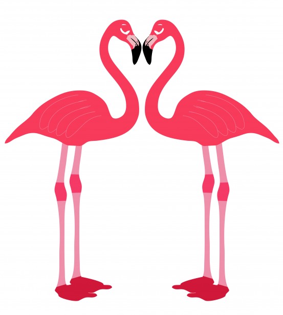 Flamingo madarak szerelmes szív Szabad kép - Public Domain Pictures