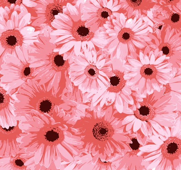 Rosa Blumen Hintergrund Kostenloses Stock Bild - Public Domain Pictures