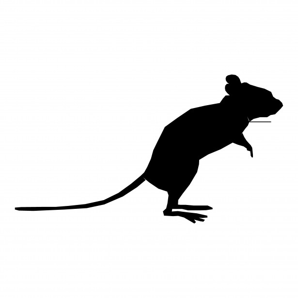 Silhouette Mouse Free Stock Photo - Public Domain Pictures