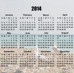 2014 Calendar Bird Sea