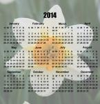 2014 Calendar Daffodil Flower