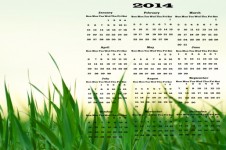 Calendar 2014 - Grass