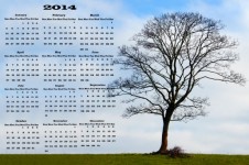 Calendar 2014 - Tree