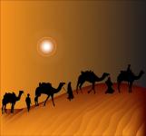 Camel Train Desert Sunset