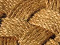 Marine Rope And Knot