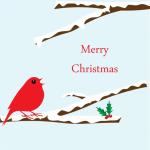 Cute Bird Christmas Card