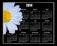 Daisy Flower 2014 Calendar