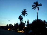 Dawn Picture In Beach Resort