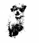 Dog Illustration Clipart