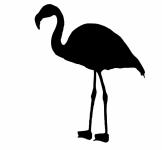 Flamingo Bird Silhouette Clipart