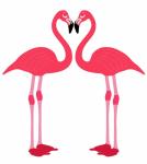 Flamingo Birds Love Heart