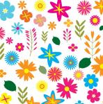 Floral Background Colorful