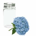 Flower & Glass Jar