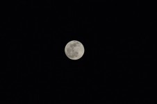 Full Moon In The Dark Of Night
