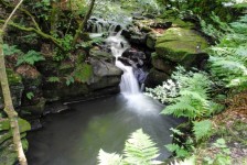 Healey Dell Nature Reserve
