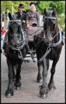 Dutch Authentic Carriages 09