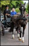 Dutch Authentic Carriages 11
