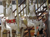 Carousel With Wooden Horses 4