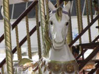 Carousel With Wooden Horses 5