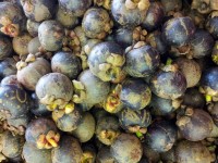 Mangosteen In Pile In Singapore