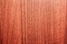 Maple Wood Background