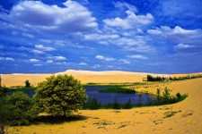 Mui Ne Sand Dunes #3