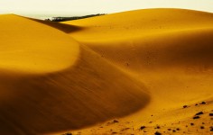 Mui Ne Sand Dunes #5