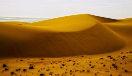 Mui Ne Sand Dunes #6