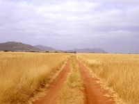 Namibian Red Dirt Road
