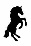 Rearing Black Horse Silhouette