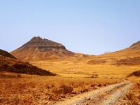 Road Through Drylands